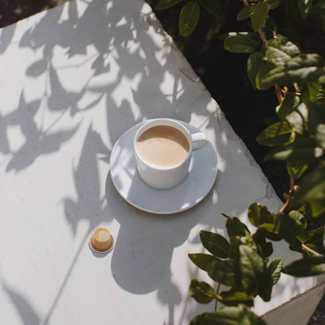 Nespressoさんのインスタグラム写真 - (NespressoInstagram)「We like to think that delight can be found in simple and quiet moments, accompanied with a cup of Nespresso coffee of course.  📷: @studiocnp  #NespressoMoments #ElevateYourSummer #SummerAtHome #CoffeeLover #Nespresso #SummerWithNespresso」6月12日 16時00分 - nespresso