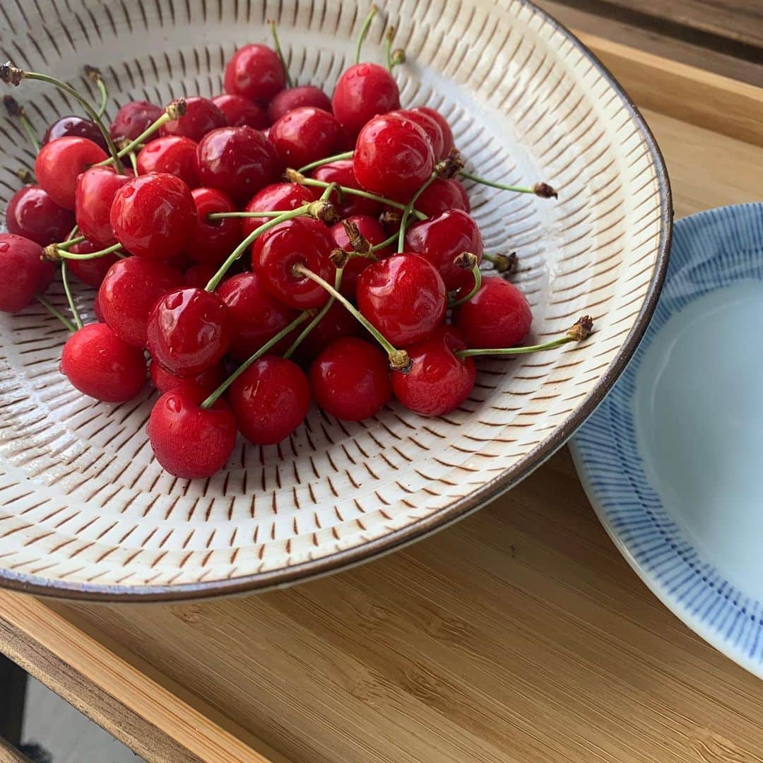 わちみなみのインスタグラム：「﻿ 高校からのともだちが﻿ 🍒をくれたので一緒に食べました😌﻿ ﻿ 絵みたいだよね﻿ ﻿ 昨日あついのにエアコンつけずに﻿ 寝ちゃって、ぼーっとします。﻿ みんな気をつけてね😖﻿ ﻿ エアコンは身体に悪いと思ってたけど﻿ 使った方が良い😂﻿ 東京暑い🤦‍♂️﻿ ﻿ #さくらんぼ﻿ #旬　かな」