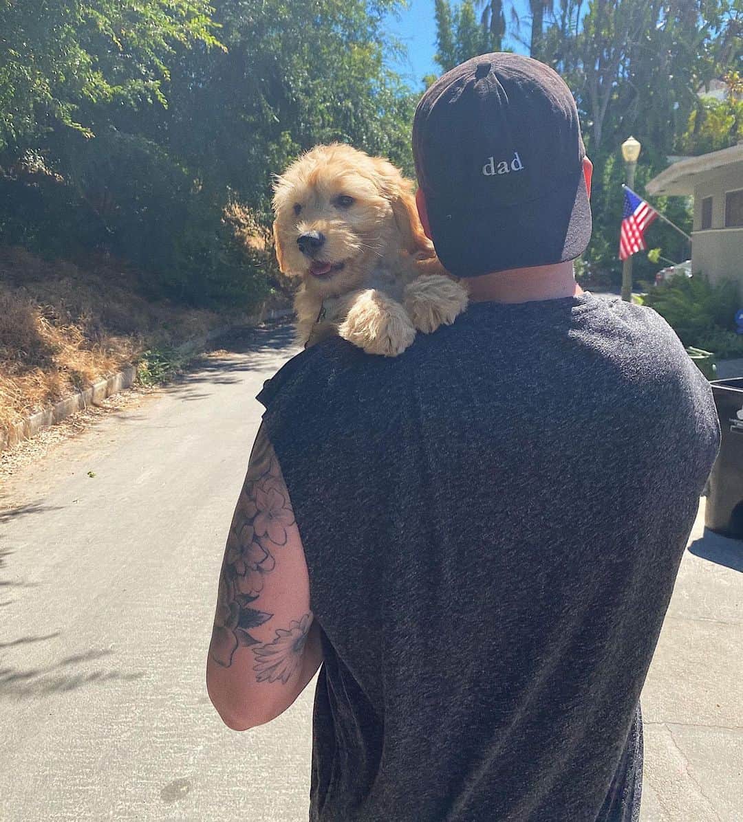スコット・ホアイングのインスタグラム：「when we take @bubbatheminidoodle for walks, he walks a total of 10 steps and then just lies down until i carry him the rest of the way lmao (also peep the superfruit dad hat which, believe it or not, i didn’t plan for this pic)」