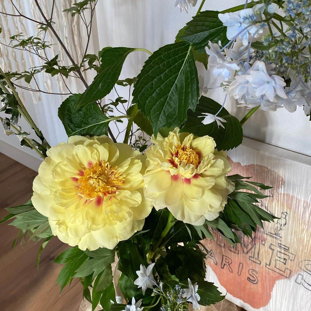 武藤乃子さんのインスタグラム写真 - (武藤乃子Instagram)「💐 初夏のインテリアアレンジ。 大きく生けて、インテリアのような存在感に。  枝物は動きやすいので、カタチを作るのが難しい😱  翌朝には芍薬が満開でした💐 お花だけ持ち帰るので、花器も違うしレッスンと同じアレンジにはなりませんが、今回は長男が甚く気に入っていました。ボリュームがあって好みだったらしいです。  #フラワーレッスン #フラワーアレンジメント  #お花のある暮らし  #お花のある生活  #花のある暮らし  #花のある生活  #大人の習い事 #生花」6月12日 8時36分 - muto_noriko.11