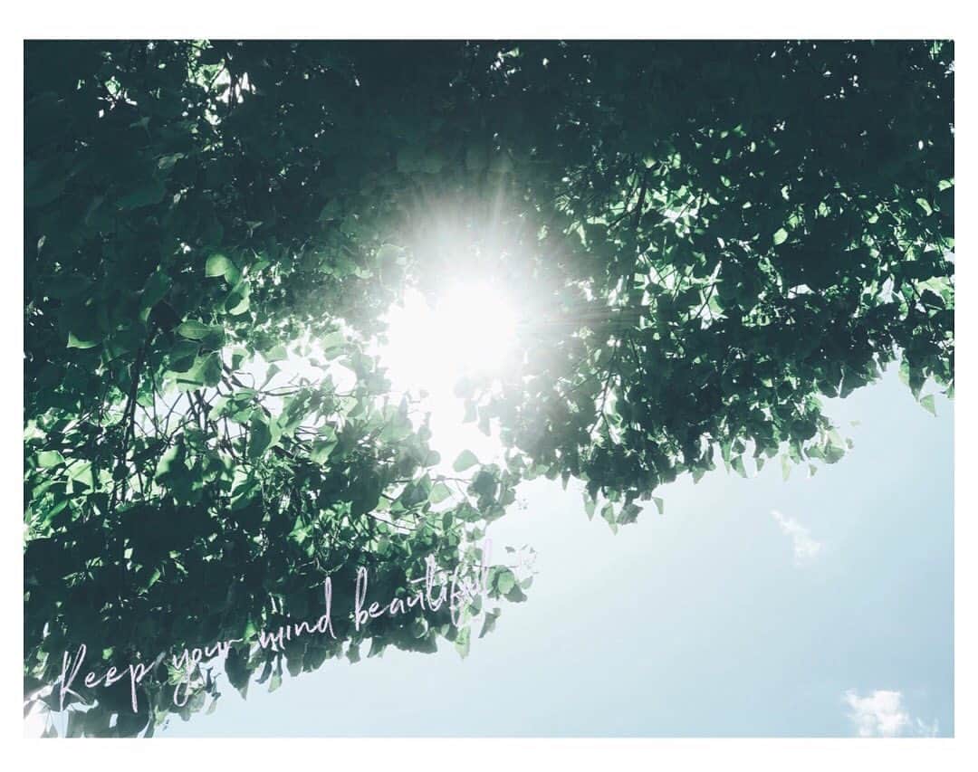 遠海まりこさんのインスタグラム写真 - (遠海まりこInstagram)「今日も一日。﻿ ﻿ ﻿ ﻿ ﻿ ﻿ ﻿ 心は侵されずがんばろう。﻿ Keep your mind beautiful ﻿ ﻿ ﻿ ﻿ ﻿ ﻿ ﻿ #beautifulsky #blue #tokyojapan #sky #yours #mind #beautifulmind #today #leaves #trees﻿ #空　#太陽 #太陽の光 #今日」6月12日 9時09分 - marikotohmi99