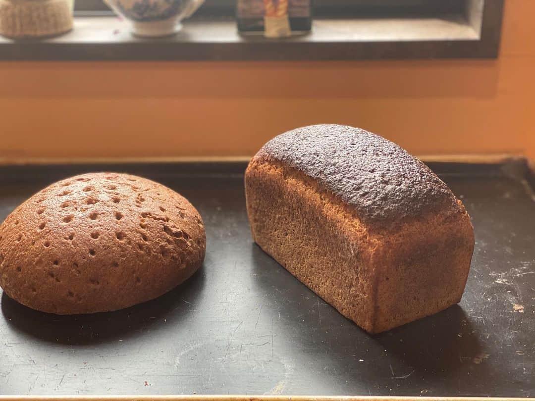 魔女菅原のグルメインスタ