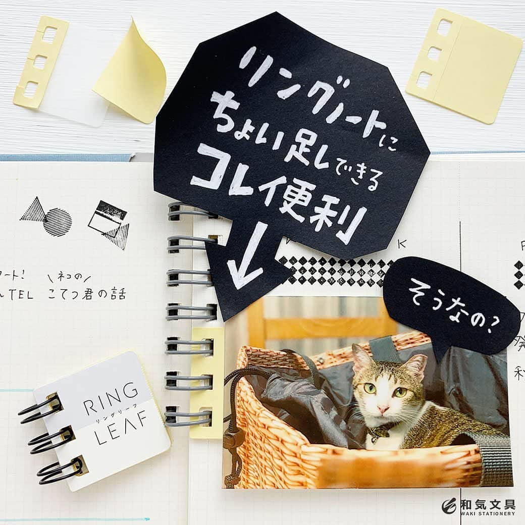 文房具の和気文具のインスタグラム：「今回は『カンミ堂 リングリーフ』を使ってみました♪和気文具スタッフ今田は、2020年はサニーノートを使っています。 リングノートは水平に開くところが好きです(^^) そんなリングノートユーザーな私が「おぉ～便利！」と思ったアイテムがこのリングリーフです。カードや書類をリングノートに簡単につなげることが出来る便利アイテム。貼ってはがせる優れものです。 ・ ウェブマガジンでは使ってみた動画も掲載しております。 ▼プロフィール欄のURLよりどうぞ @wakibungu ・ 写真をながめたり～サッとシールを使えたり~嬉しいな♪(^^) ・ #リングノート #リングリーフ #文房具好き #文具好き #文房具大好き #文房具好きな人と繋がりたい #文房具マニア #文房具屋 #文具店 #文具女子 #文具好朋友 #手帳デコ #手帳の使い方 #手帳時間 #手帳好きさんと繋がりたい #notebooklover #stationeryholic  #和気文具」