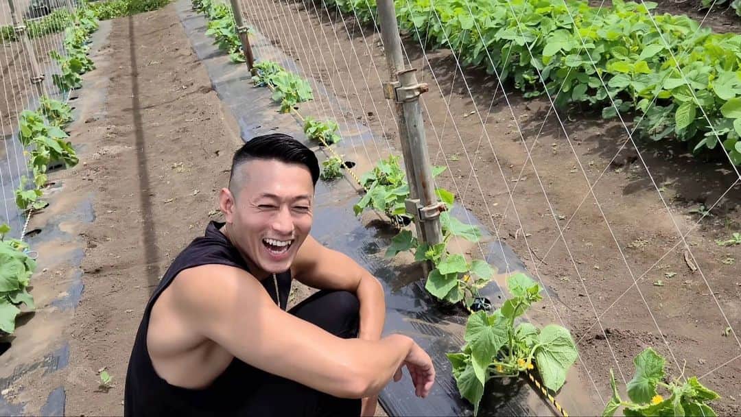 黒石高大のインスタグラム：「畑の野菜チェック動画あげました 夏野菜の成長は早いね 今年の収穫マジ楽しみ 今回も視聴者プレゼントあるんで是非見てください  えー  物で釣る(笑)ストーリーから動画飛べるんで よろしくどーぞ　 https://youtu.be/m413DFlOZyI #畑 #家庭菜園 #農作業」