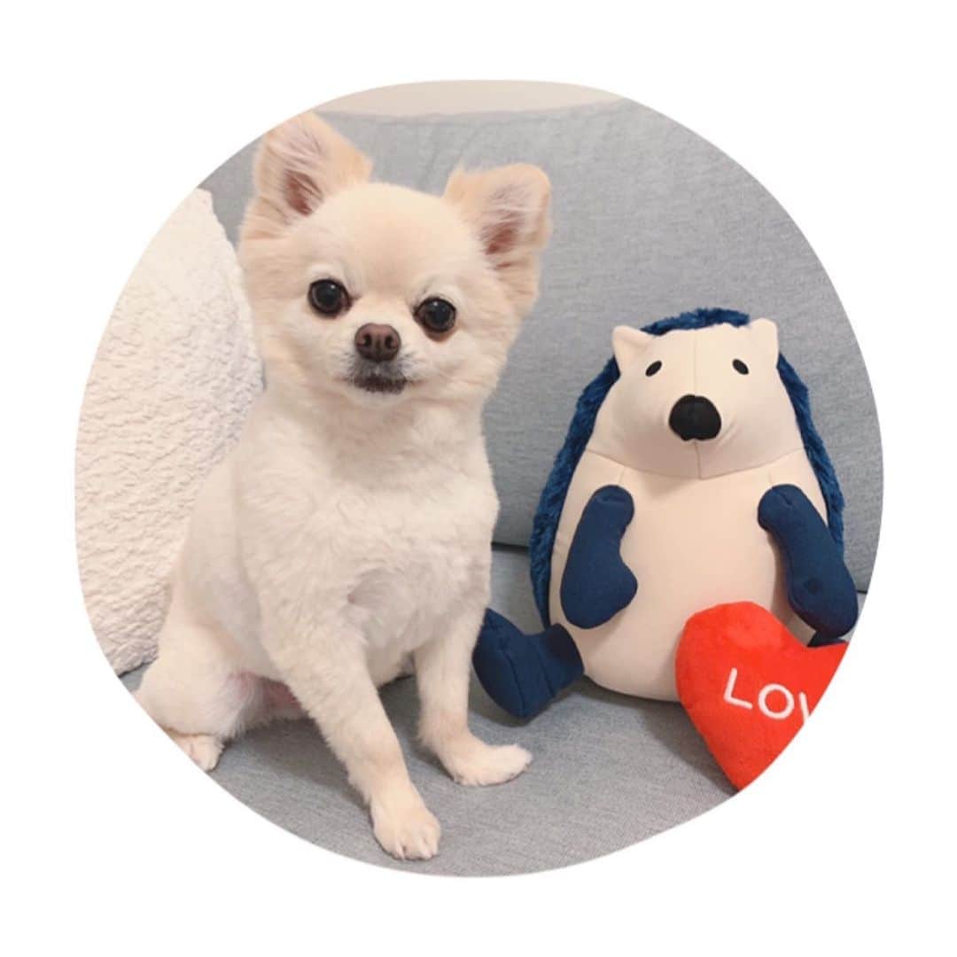 井口裕香のインスタグラム