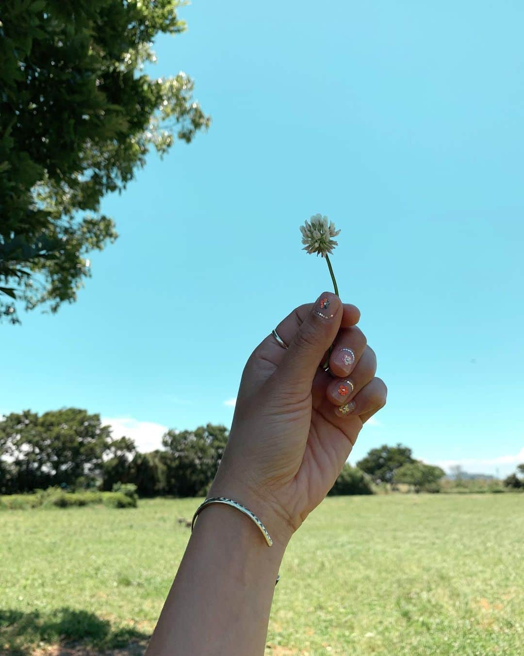 Rihwaさんのインスタグラム写真 - (RihwaInstagram)「シロツメクサ🤍 #Rihwa #peace #love #music #flower nails by @yukamizz」6月12日 11時33分 - rihwa_official