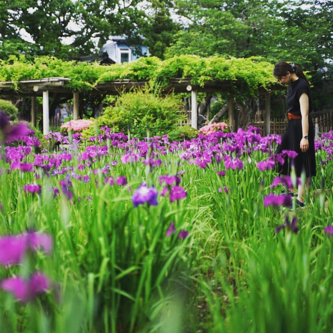 飛河蘭さんのインスタグラム写真 - (飛河蘭Instagram)「梅雨入りしましたね。 落ち込むこともあるけれど私は元気です。」6月12日 11時51分 - chihiro94ran