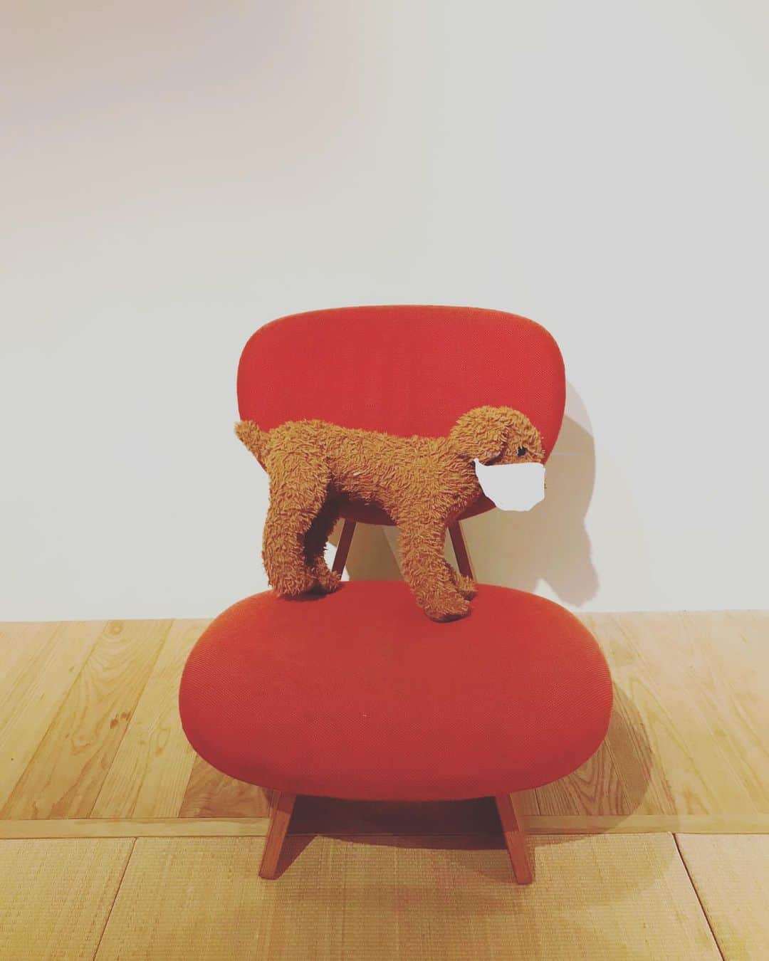 hotelgraphynezuさんのインスタグラム写真 - (hotelgraphynezuInstagram)「Our beloved puppy also keeps distance with us... alright his way to sit looks not very comfy but that’s fine ! ^^ Let’s stat staff and keep sanitary rules in mind when visiting us : washing hands, gargling, wearing mask ^^ ———————————————————————— ぬいぐるみもソーシャルディスタンスを大事にしています、、、けど犬ちゃんの座り方が結構おかしいですが、気にしないでね^^ 皆さんマスクを付けてきてね！^^ ———————————————————————— @hotelgraphy_nezu  www.hotel-graphy.com ———————————————————————— #hotel #hostel #hotelgraphynezu #socialdistancing #puppy #redchair #keepdistance #hygiene #fightcovıd19 #wearmask😷 #washhands #stayclean #staysafe #precautions #hotellife #tokyo #nezu  #ソーシャルディスタンス #ホステル #ホテル #犬ちゃん #ぬいぐるみ #新型コロナウイルスに負けるな #安全なホテル #根津 #東京 #ホテルグラフィー根津 #手洗い #うがい #マスク」6月12日 12時34分 - hotelgraphy_nezu