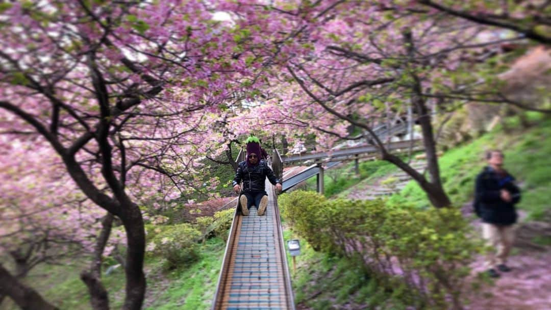 川原克己 さんのインスタグラム写真 - (川原克己 Instagram)「渋谷で落としたと思っていたクリスタル水晶が品川で出てきました！ご心配おかけしました！ まさに、ラッキーゴリラ！ウホ！ウホ！ウホ！ウホ！ウホ！ウホ！ウホ！ウホ！ウホ！ウホ！ウホ！ウホ！ウホ！ウホ！ウホ！ウホ！ウホ！ウホ！ウホ！ウホ！ウホ！ウホ！ウホ！ウホ！ウホ！ウホ！ウホ！ウホ！ウホ！ウホ！ウホ！ウホ！ウホ！ウホ！ウホ！ウホ！ウホ！ウホ！ウホ！ウホ！ウホ！ウホ！ウホ！ウホ！ウホ！ウホ！ウホ！ウホ！ウホ！ウホ！ウホ！ウホ！ウホ！ウホ！ウホ！ウホ！ウホ！ウホ！ウホ！ウホ！ウホ！ウホ！ウホ！ウホ！ウホ！ウホ！ウホ！ウホ！ウホ！ウホ！ウホ！ウホ！ウホ！ウホ！ウホ！ウホ！ウホ！ウホ！ウホ！ウホ！ウホ！ウホ！ウホ！ウホ！ウホ！ウホ！ウホ！ウホ！ウホ！ウホ！ウホ！ウホ！ウホ！ウホ！ウホ！ウホ！ウホ！ウホ！ウホ！ウホ！ウホ！ウホ！ウホ！ウホ！！ウホ！ウホ！ウホ！ウホ！ウホ！ウホ！ウホ！ウホ！ウホ！ウホ！ウホ！ウホ！ウホ！ウホ！ウホ！ウホ！ウホ！ウホ！ウホ！ウホ！ウホ！ウホ！ウホ！ウホ！ウホ！ウホ！ウホ！ウホ！ウホ！ウホ！ウホ！ウホ！ウホ！ウホ！ウホ！ウホ！ウホ！ウホ！ウホ！ウホ！ウホ！ウホ！ウホ！ウホ！ウホ！ウホ！ウホ！ウホ！ウホ！ウホ！ウホ！ウホ！ウホ！ウホ！ウホ！ウホ！ウホ！ウホ！ウホ！ウホ！ウホ！ウホ！ウホ！ウホ！ウホ！ウホ！ウホ！ウホ！ウホ！ウホ！ウホ！ウホ！ウホ！ウホ！ウホ！ウホ！ウホ！ウホ！ウホ！ウホ！ウホ！ウホ！ウホ！ウホ！ウホ！ウホ！ウホ！ウホ！ウホ！ウホ！ウホ！ウホ！ウホ！ウホ！ウホ！ウホ！ウホ！ウホ！ウホ！ウホ！ウホ！ウホ！ウホ！ウホ！ウホ！ウホ！ウホ！ウホ！ウホ！ウホ！ウホ！ウホ！ウホ！ウホ！ウホ！ウホ！ウホ！ウホ！ウホ！ウホ！ウホ！ウホ！ウホ！ウホ！ウホ！ウホ！ウホ！ウホ！ウホ！ウホ！ウホ！ウホ！ウホ！ウホ！ウホ！ウホ！ウホ！ウホ！ウホ！ウホ！ウホ！ウホ！ウホウホ！ウホ！ウホ！ウホ！ウホ！ウホ！ウホ！ウホ！ウホ！ウホ！ウホ！ウホ！ウホ！ウホ！ウホ！ウホ！ウホ！ウホ！ウホ！ウホ！ウホ！ウホ！ウホ！ウホ！ウホ！ウホ！ウホ！ウホ！ウホ！ウホ！ウホ！ウホ！ウホ！ウホ！ウホ！ウホ！ウホ！ウホ！ウホ！ウホ！ウホ！ウホ！ウホ！ウホ！ウホ！ウホ！ウホ！ウホ！ウホ！ウホ！ウホ！ウホ！ウホ！ウホ！ウホ！ウホ！ウホ！ウホ！ウホ！ウホ！ウホ！ウホ！ウホ！ウホ！ウホ！ウホ！ウホ！ウホ！ウホ！ウホ！ウホ！ウホ！ウホ！ウホ！ウホ！ウホ！ウホ！ウホ！ウホ！ウホ！ウホ！ウホ！ウホ！ウホ！ウホ！ウホ！ウホ！ウホ！ウホ！ウホ！ウホ！ウホ！ウホ！ウホ！ウホ！ウホ！ウホ！ウホ！ウホ！ウホ！ウホ！ウホ！ウホ！ウホ！ウホ！ウホ！ウホ！ウホ！ウホ！ウホ！ウホ！ウホ！ウホ！ウホ！ウホ！ウホ！ウホ！ウホ！ウホ！ウホ！ウホ！ウホ！ウホ！ウホ！ウホ！ウホ！ウホ！ウホ！ウホ！ウホ！ウホ！ウホ！ウホ！ウホ！ウホ！ウホ！ウホ！ウホ！ウホ！ウホ！ウホ！ウホ！ウホ！ウホ！ウホ！ウホ！ウホ！ウホ！ウホ！ウホ！ウホ！ウホ！ウホ！ウホ！ウホ！ウホ！ウホ！ウホ！ウホ！ウホ！ウホ！ウホ！ウホ！ウホ！ウホ！ウホ！ウホ！ウホ！ウホ！ウホ！ウホ！ウホ！ウホ！ウホ！ウホ！ウホ！ウホ！ウホ！ウホ！ウホ！ウホ！ウホ！ウホ！ウホ！ウホ！ウホ！ウホ！ウホ！ウホ！ウホ！ウホ！ウホ！ウホ！ウホ！ウホ！ウホ！ウホ！ウホ！ウホ！ウホ！ウホ！ウホ！ウホ！ウホ！ウホ！ウホ！ウホ！ウホ！ウホ！ウホ！ウホ！ウホ！ウホ！ウホ！ウホ！ウホ！ウホ！ウホ！ウホ！ウホ！ウホ！ウホ！ウホ！ウホ！ウホ！ウホ！ウホ！ウホ！ウホ！ウホ！ウホ！ウホ！ウホ！ウホ！ウホ！ウホ！ウホ！ウホ！ウホ！ウホ！ウホ！ウホ！ウホ！ウホ！ウホ！ウホ！ウホ！ウホ！ウホ！ウホ！ウホ！ウホ！ウホ！ウホ！ウホ！ウホ！ウホ！ウホ！ウホ！ウホ！ウホ！ウホ！ウホ！ウホ！ウホ！ウホ！ウホ！ウホ！ウホ！ウホ！ウホ！ウホ！ウホ！ウホ！ウホ！ウホ！ウホ！ウホ！ウホ！ウホ！ウホ！ウホ！ウホ！ウホ！ウホ！ウホ！ウホ！ウホ！ウホ！ウホ！ウホ！ウホ！ウホ！ウホ！ウホ！ウホ！ウホ！ウホ！ウホ！ウホ！ウホ！ウホ！ウホ！ウホ！ウホ！ウホ！ウホ！ウホ！ウホ！ウホ！ウホ！ウホ！ウホ！ウホ！ウホ！ウホ！ウホ！ウホ！ウホ？ウホ！ウホ！ウホ！ウホ！ウホ！ウホ！ウホ！ウホ！ウホ！ウホ！ウホ！ウホ！ウホ！ウホ！ウホ！ウホ！ウホ！ウホ！ウホ！ウホ！ウホ！ウホ！ウホ！ウホ！ウホ！ウホ！ウホ！ウホ！ウホ！ウホ！ウホ！ウホ！ウホ！ウホ！ウホ！ウホ！ウホ！ウホ！ウホ！ウホ！ウホ！ウホ！ウホ！ウホ！ウホ！ウホ！ウホ！ウホ！ウホ！ウホ！ウホ！ウホ！ウホ！ウホ！ウホ！ウホ！ウホ！ウホ！ウホ！ウホ！ウホ！ウホ！ウホ！ウホ！ウホ！ウホ！ウホ！ウホ！ウホ！ウホ！ウホ！ウホ！ウホ！ウホ！ウホ！ウホ！ウホ！ウホ！ウホ！ウホ！ウホ！ウホ！ウホ！ウホ！ウホ！ウホ！ウホ！ウホ！ウホ！ウホ！ウホ！ウホ！ウホ！ウホ！ウホ！ウホ！ウホ！ウホ！ウホ！ウホ！ウホ！ウホ！ウホ！ウホ！ウホ！ウホ！ウホ！ウホ！ウホ！ウホ！ウホ！ウホ！ウホ！ウホ！ウホ！ウホ！ウホ！ウホ！ウホ！ウホ！ウホ！ウホ！ウホ！ウホ！ウホ！ウホ！ウホ！ウホ！ウホ！ウホ！ウホ！ウホ！ウホ！ウホ！ウホ！ウホ！ウホ！ウホ！ウホ！ウホ！ウホ！ウホ！ウホ！ウホ！ウホ！ウホ！・・・ #ウホウホ」6月12日 13時02分 - tenjikunezumikawahara