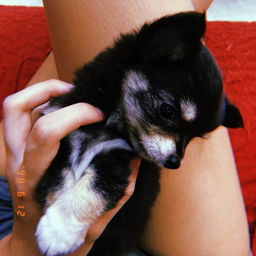 山田ひなののインスタグラム：「Welcome baby ♥️ SAKURA」