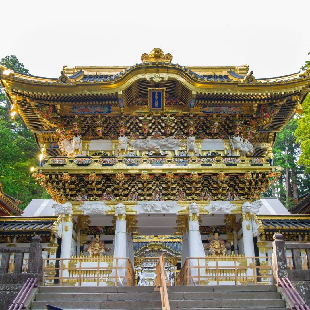 TOBU RAILWAY（東武鉄道）さんのインスタグラム写真 - (TOBU RAILWAY（東武鉄道）Instagram)「. . 🚩Nikko . . . [Enjoy a reasonable Nikko trip with NIKKO PASS!] Nikko is a popular sightseeing spot that can be reached in about two hours from Asakusa. With NIKKO PASS, you can ride as many trains and buses as you want in the designated area in Nikko. Also, those who purchase NIKKO PASS can purchase special express tickets at 20% off. There are other benefits include discounts at restaurants and hotels. Please use NIKKO PASS when you go to Nikko. . #visituslater #stayhome #staysafe . . . . . #nikko #okunikko #tochigi #japantrip #travelgram #tobujapantrip #unknownjapan #jp_gallery #visitjapan #japan_of_insta #art_of_japan #instatravel #japan #instagood #travel_japan #exoloretheworld  #landscape #ig_japan #explorejapan #travelinjapan #beautifuldestinations #toburailway #japan_vacations #shinkyobridge #nikkotoshogu #kegonfalls #sltaiju」6月12日 15時00分 - tobu_japan_trip