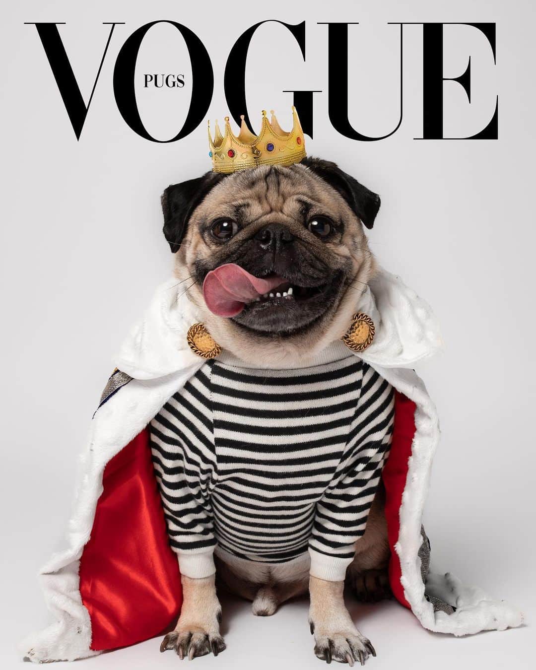 itsdougthepugさんのインスタグラム写真 - (itsdougthepugInstagram)「“When a pug is more high fashion than u” -Doug #voguechallenge」6月13日 1時38分 - itsdougthepug