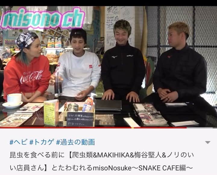 misoNosukeのインスタグラム