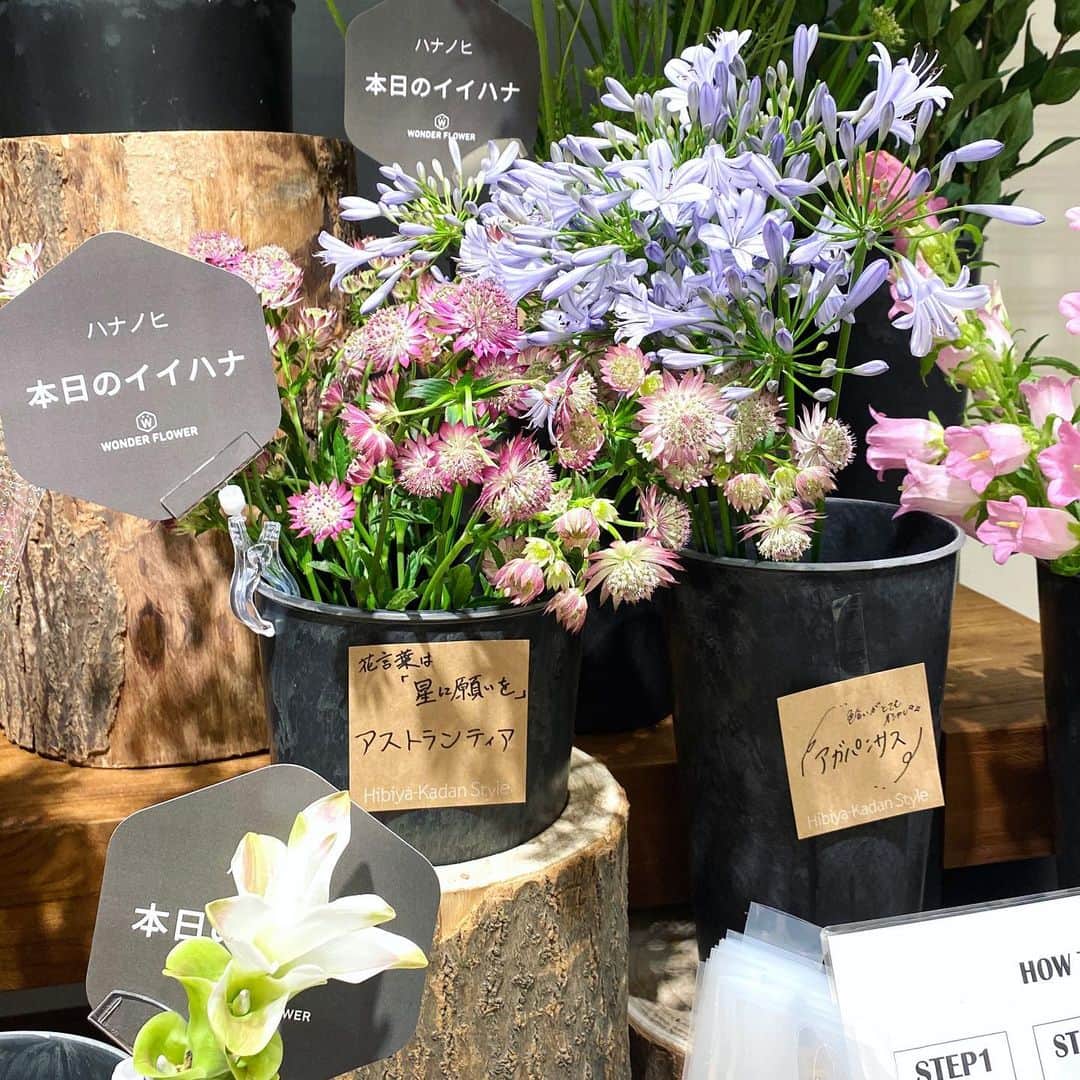 のインスタグラム：「私には関係ないと思っていた"サブスク" 毎日1本好きな花をお持ち帰りできるなんて😍  毎日お花を持って帰れるってすごく幸せ✨ 私が入ったのは中でも１番安い［イイハナ］プラン  1ヶ月 1,187円 ⇓6/25まで50%OFF 1ヶ月 593円 サブスクデビュー🔰  まだ営業再開してなかったり短縮営業のお店もあるので 行きやすい店舗の営業を調べてからがオススメ♪ ［ハナノヒ🔍］ ・ #ハナノヒ #花のある生活 @runplus #aday」