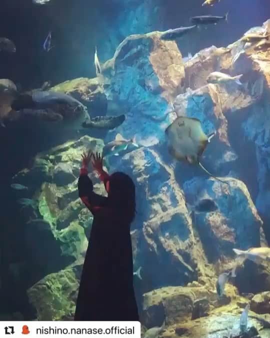 西野七瀬のグルメインスタ