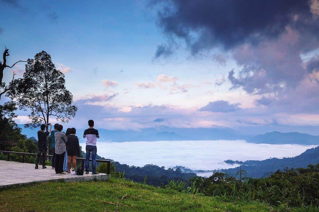 タイ国政府観光庁さんのインスタグラム写真 - (タイ国政府観光庁Instagram)「・﻿ ＼✨今週も1週間お疲れ様でした✨／﻿ ﻿ ケーンクラチャン国立公園の写真をお届け📸﻿ ﻿ ケーンクラチャン国立公園は、ペッチャブリー県からプラチュアップキリカーン県の広範囲にわたって広がる、タイ最大の国立公園🌳✨﻿ ﻿ 主要河川の源泉があり、多種多様な植物や動物が生息。野生の象やバイソン、鹿などの動物も暮らしています🐘🦌﻿ ﻿ 特に標高の高い「Khao Phanoen Tung」からは、雲海を眺めることができます⛅️﻿ ﻿ 皆さま、体調に気をつけてよい週末をお過ごしください☺️﻿ ﻿ #お疲れ様でした #ペッチャブリー #プラチュアップキリカーン #ケーンクラチャン国立公園 #雲海 #絶景 #ファインダー越しの私の世界 #写真好きな人と繋がりたい #ダレカニミセタイソラ #こんなタイ知らなかった #もっと知りタイ #旅好きな人と繋がりたい #旅行好きな人と繋がりたい #海外旅行 #thailand #phetchaburi #KaengKrachanNationalPark  #NationalPark #amazingthailand #thailandtravel #thailandtrip #thai #thaistagram #lovethailand  #localexperience」6月12日 17時50分 - amazingthailandjp