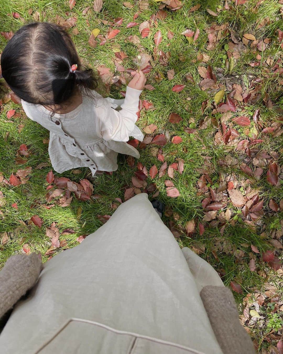 目見田早弥子のインスタグラム：「| 🍂🍃 いつかのお散歩。 お洋服の生地が似てた👌🏻♡」
