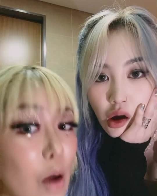 パク・ジミン のインスタグラム：「나도 틱톡 맛을 볼까..? @queenwasabii_official」