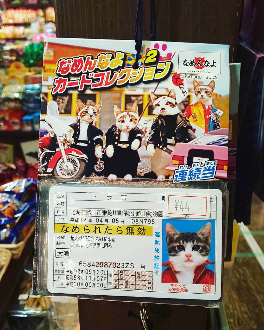 LOVE ME DOさんのインスタグラム写真 - (LOVE ME DOInstagram)「懐かしくて買ってみました！ #なめねこ #なめねこ免許証」6月12日 20時14分 - lovemedo_fortunteller