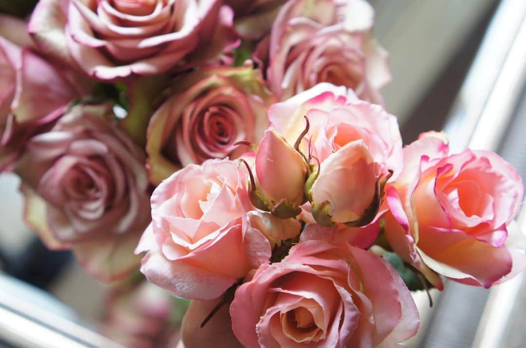 池上真麻さんのインスタグラム写真 - (池上真麻Instagram)「先日もらった生花のバラと、ダイパーケーキに使う造花のバラ。雰囲気が似ていたので一緒に撮ってみました！ぴったり同じ色のものは手元になかったけれど、似ていますよねー。本当に造花もよくできているな。 . #バラ　#rose #pink #造花　#アーティフィシャルフラワー　#生花　#花のある暮らし」6月12日 21時03分 - marsaikegami