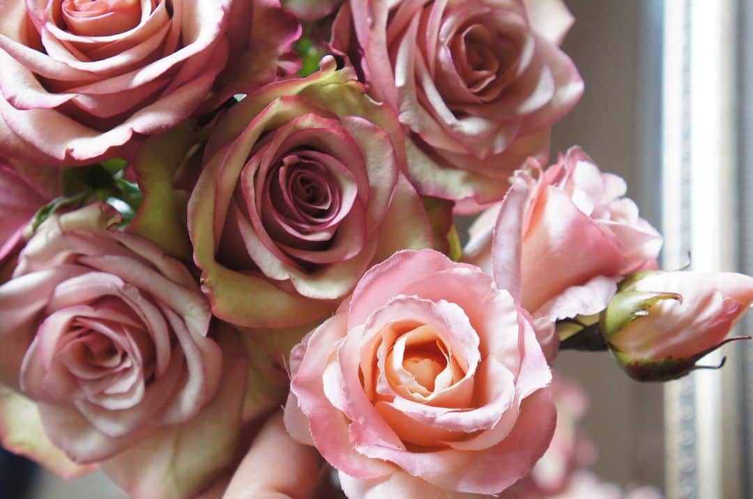 池上真麻さんのインスタグラム写真 - (池上真麻Instagram)「先日もらった生花のバラと、ダイパーケーキに使う造花のバラ。雰囲気が似ていたので一緒に撮ってみました！ぴったり同じ色のものは手元になかったけれど、似ていますよねー。本当に造花もよくできているな。 . #バラ　#rose #pink #造花　#アーティフィシャルフラワー　#生花　#花のある暮らし」6月12日 21時03分 - marsaikegami