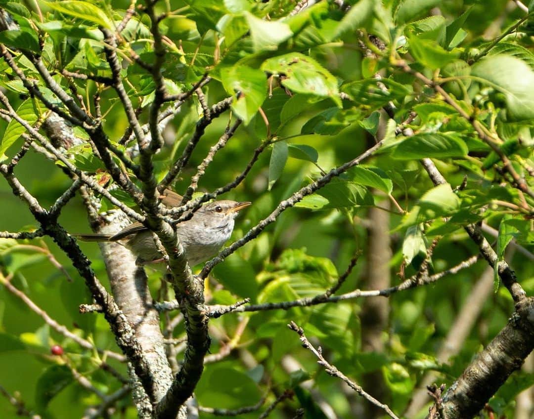 山人のグルメインスタ