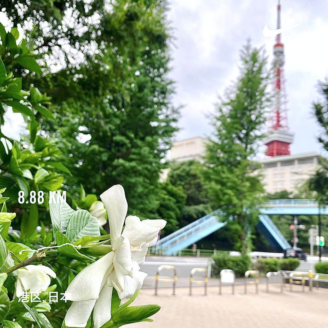 のインスタグラム：「会社から出たらまだ雨降ってない٩(ˊᗜˋ*)و 今日は金曜日#医療従事者に感謝 を888（拍手）に込めて#👏👏👏 #帰宅ラン #56ラン  くちなしが咲き始めて甘い香りでいっぱい😍 まだ咲き始めたばかりだから続く楽しみ♡ 梅雨もまだ始まったばかり。  #No密RUN #医療従事者に感謝  #いまわたしができること #runのために今できること #走れるって幸せ　#走れるって当たり前じゃない  #ラン #ランニング #RUN #running #ゆるラン #街ラン #街RUN #ランニング女子 #GARMIN #ナイキ #ハシリマスタグラム #ハシリマシタグラム #ぼっちラン #ヒトリデハシロウ #通勤ランニング #帰宅RUN  #Runday #RunLovesLife #runstagram @runplus #aday」