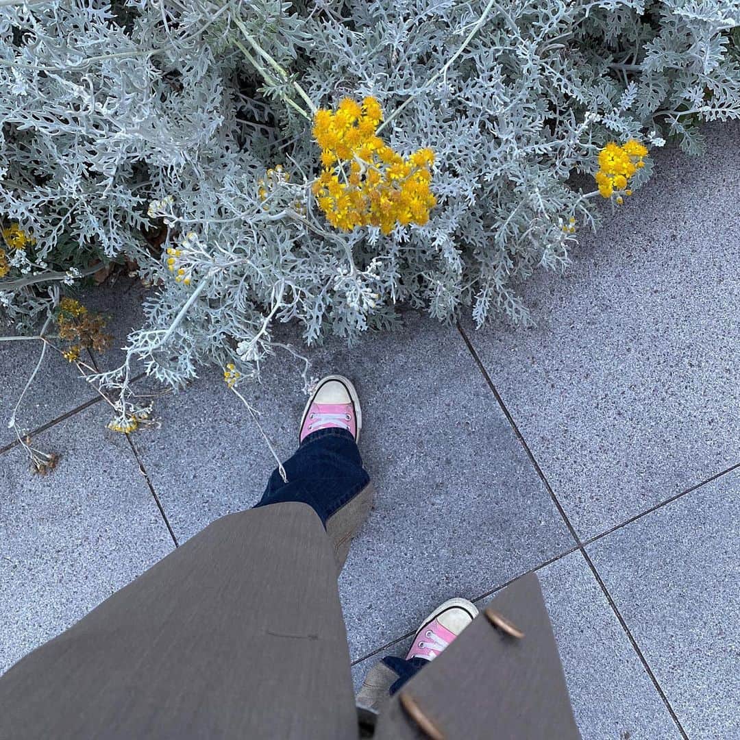 セナのインスタグラム：「🤍💛」