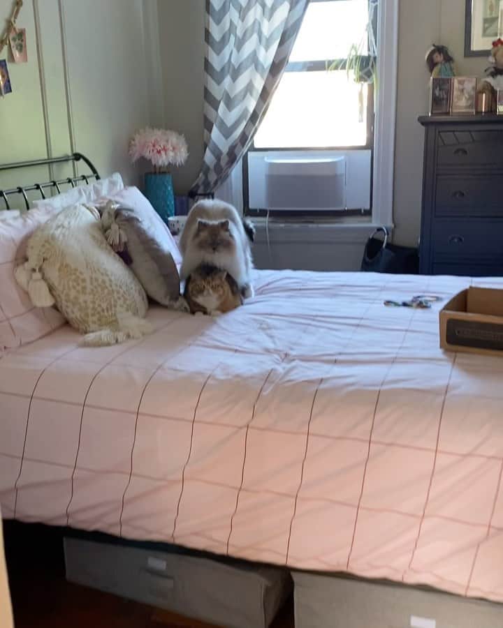 Tinaのインスタグラム：「Every Damn Day 🤪」