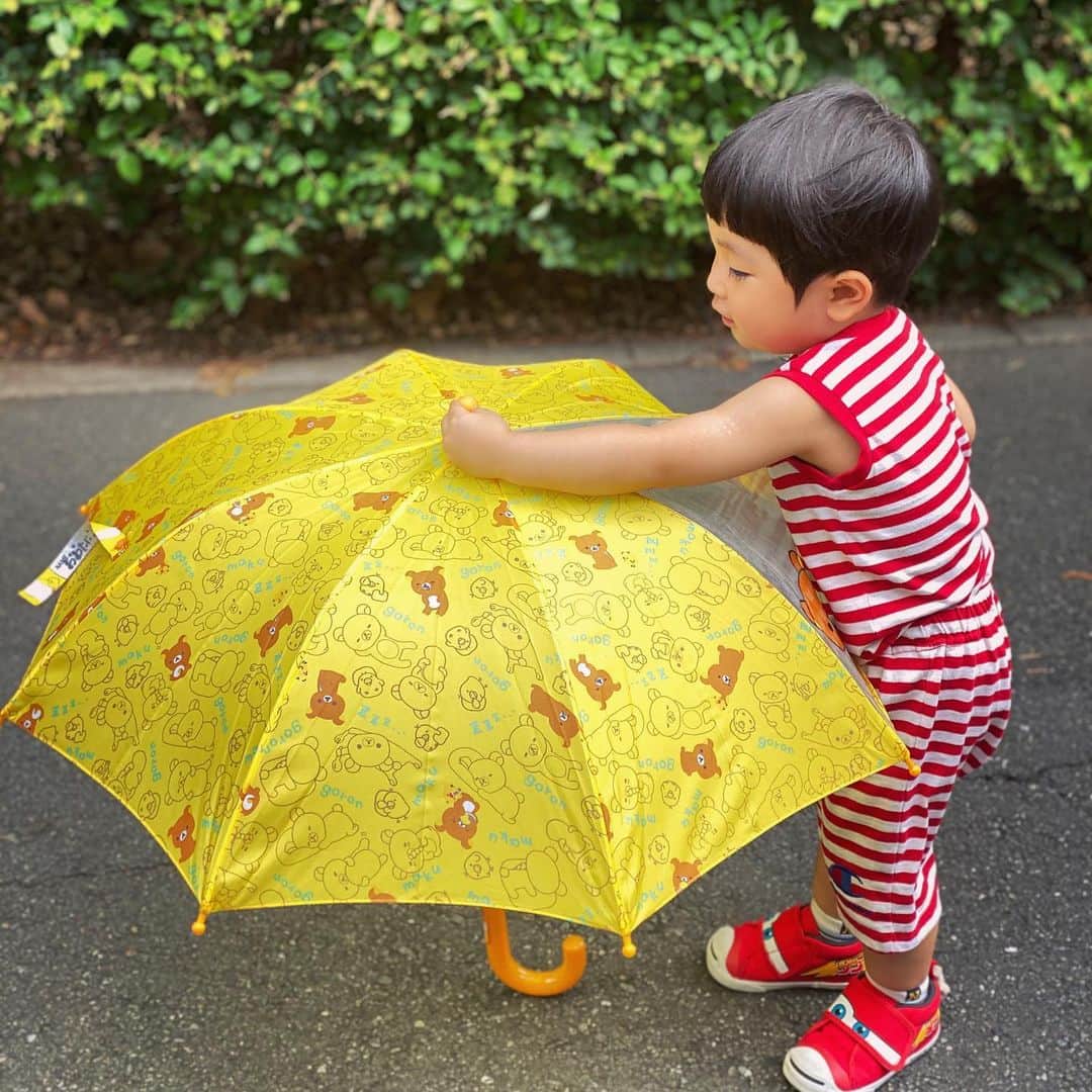 大谷みつほのインスタグラム：「梅雨入りを待ちわびていたカボチャン☂️ 私も傘が大好きです。 #rilakkuma#傘##梅雨入り」
