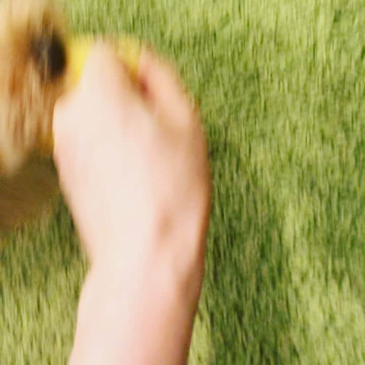 北山陽一のインスタグラム：「ほんでいま俺がえびのとりあいしてる。#きたやまおかき」