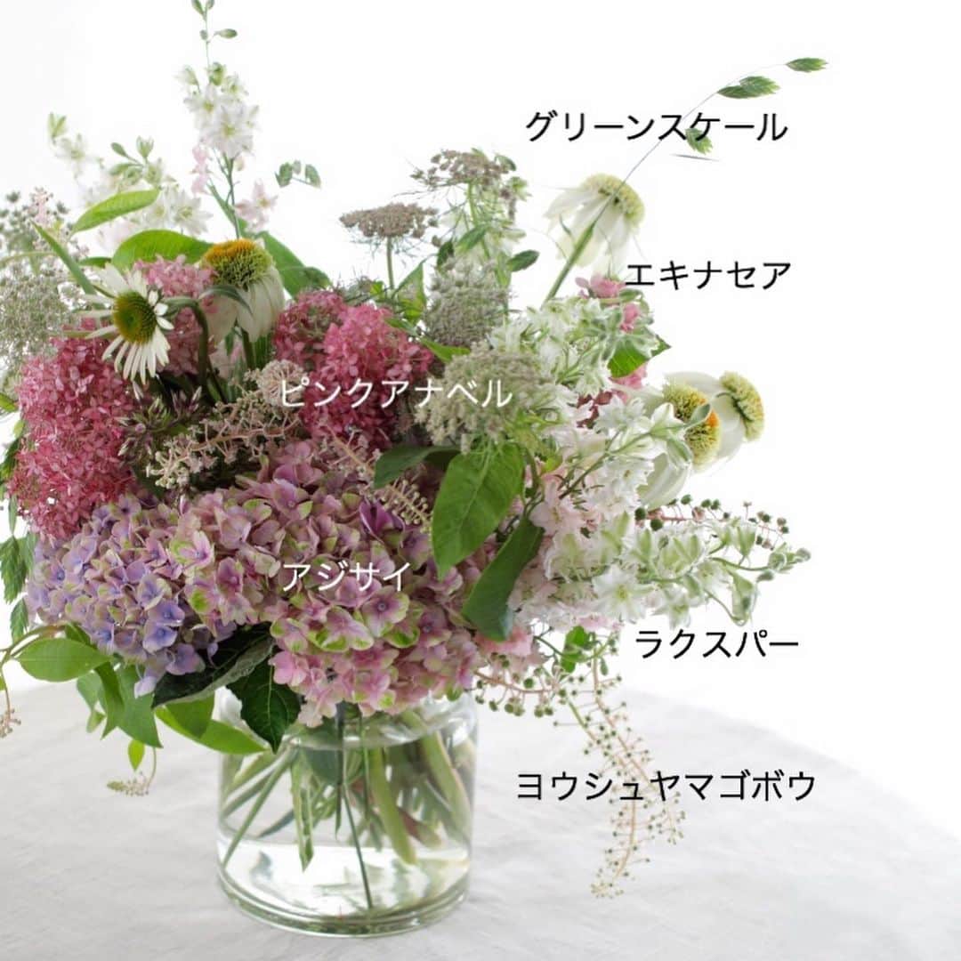 雑誌『花時間』さんのインスタグラム写真 - (雑誌『花時間』Instagram)「おはようございます。﻿ ﻿ 日本は長いですね。関東では梅雨入り🐌したばかりなのに、沖縄は早くも梅雨明け🌻。﻿ ﻿ あまり嬉しくない梅雨でも、お花屋さんには切り花のアジサイが並び、飾ってみたいなぁ…と気になっている方も多いんでしょうね。﻿ ﻿ 草花と合わせてみませんか？﻿ ﻿ コツは、3枚めのpicをご覧あれー！  そう、このアレンジは、いつくかのミニ花束を組み合わせているんです。﻿ ﻿ きっと、目からウロコ🐟🐡🐠（笑）﻿ ﻿ 束ねることで、花留めなしでも華奢な草花の伸びやかさがキープできるし、水替えのときも、イチからいけ直す手間がいりません。﻿ ﻿ アジサイのほかのヨウシュヤマゴボウやエキナセアは、もう少ししたら出回る花材です。﻿ ﻿ いま入手できる草花でもアジサイを素敵に飾ってあげられますよ。﻿ ﻿ では、雨☂️の土曜となりましたが、元気smile😊😊😊でお過ごしくださいね！ としまえんのアジサイは今年が最後だそうですね😭  by ピーターパン﻿ ﻿ ﻿ 花 @atelier_rencontrer ﻿ ﻿写真  @tanabe32  #flowers #flowerslovers #flowerstagram #flowerarrangement  #花時間 #花時間2020 #花好き #花藝 #花好きな人と繋がりたい #花が好きな人と繋がりたい #花のある生活 #花のある暮らし #花を飾る #花を飾る生活  #アジサイの季節  #アジサイの花  #紫陽花の花  #ピンクアナベル  #ピンクの花が好き #ビタミンf  #初夏の花  #梅雨の花 #花屋さんへ行こう ﻿ ﻿ ﻿」6月13日 10時15分 - hanajikan_magazine