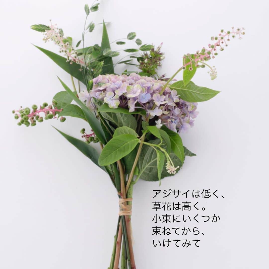 雑誌『花時間』さんのインスタグラム写真 - (雑誌『花時間』Instagram)「おはようございます。﻿ ﻿ 日本は長いですね。関東では梅雨入り🐌したばかりなのに、沖縄は早くも梅雨明け🌻。﻿ ﻿ あまり嬉しくない梅雨でも、お花屋さんには切り花のアジサイが並び、飾ってみたいなぁ…と気になっている方も多いんでしょうね。﻿ ﻿ 草花と合わせてみませんか？﻿ ﻿ コツは、3枚めのpicをご覧あれー！  そう、このアレンジは、いつくかのミニ花束を組み合わせているんです。﻿ ﻿ きっと、目からウロコ🐟🐡🐠（笑）﻿ ﻿ 束ねることで、花留めなしでも華奢な草花の伸びやかさがキープできるし、水替えのときも、イチからいけ直す手間がいりません。﻿ ﻿ アジサイのほかのヨウシュヤマゴボウやエキナセアは、もう少ししたら出回る花材です。﻿ ﻿ いま入手できる草花でもアジサイを素敵に飾ってあげられますよ。﻿ ﻿ では、雨☂️の土曜となりましたが、元気smile😊😊😊でお過ごしくださいね！ としまえんのアジサイは今年が最後だそうですね😭  by ピーターパン﻿ ﻿ ﻿ 花 @atelier_rencontrer ﻿ ﻿写真  @tanabe32  #flowers #flowerslovers #flowerstagram #flowerarrangement  #花時間 #花時間2020 #花好き #花藝 #花好きな人と繋がりたい #花が好きな人と繋がりたい #花のある生活 #花のある暮らし #花を飾る #花を飾る生活  #アジサイの季節  #アジサイの花  #紫陽花の花  #ピンクアナベル  #ピンクの花が好き #ビタミンf  #初夏の花  #梅雨の花 #花屋さんへ行こう ﻿ ﻿ ﻿」6月13日 10時15分 - hanajikan_magazine