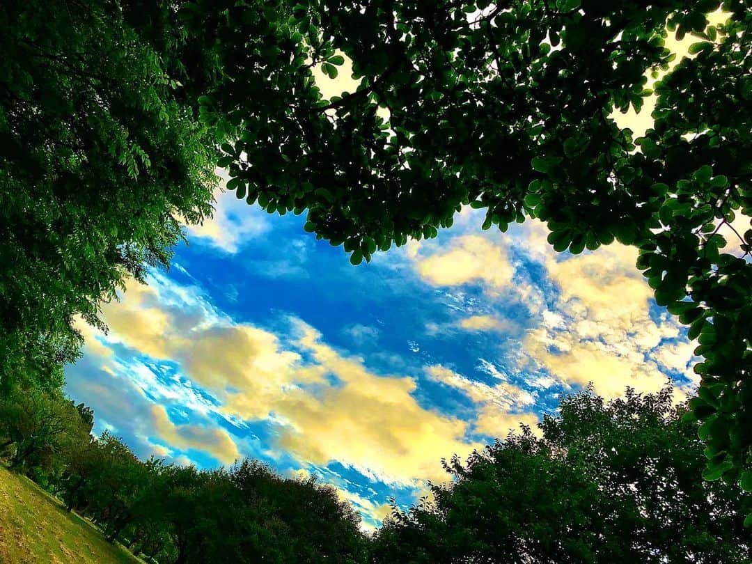 みんなのニュース「上を向いて歩こう」のインスタグラム：「緑×青空×ハート #もう一度恋がしたい  #上を向いて  #いつも同じ道いつも違う空 #空が好きな人と繋がりたい  #空が好き  #雲が好き  #奇跡の一枚  #奇跡のハート #空のアート #ダレソラ」