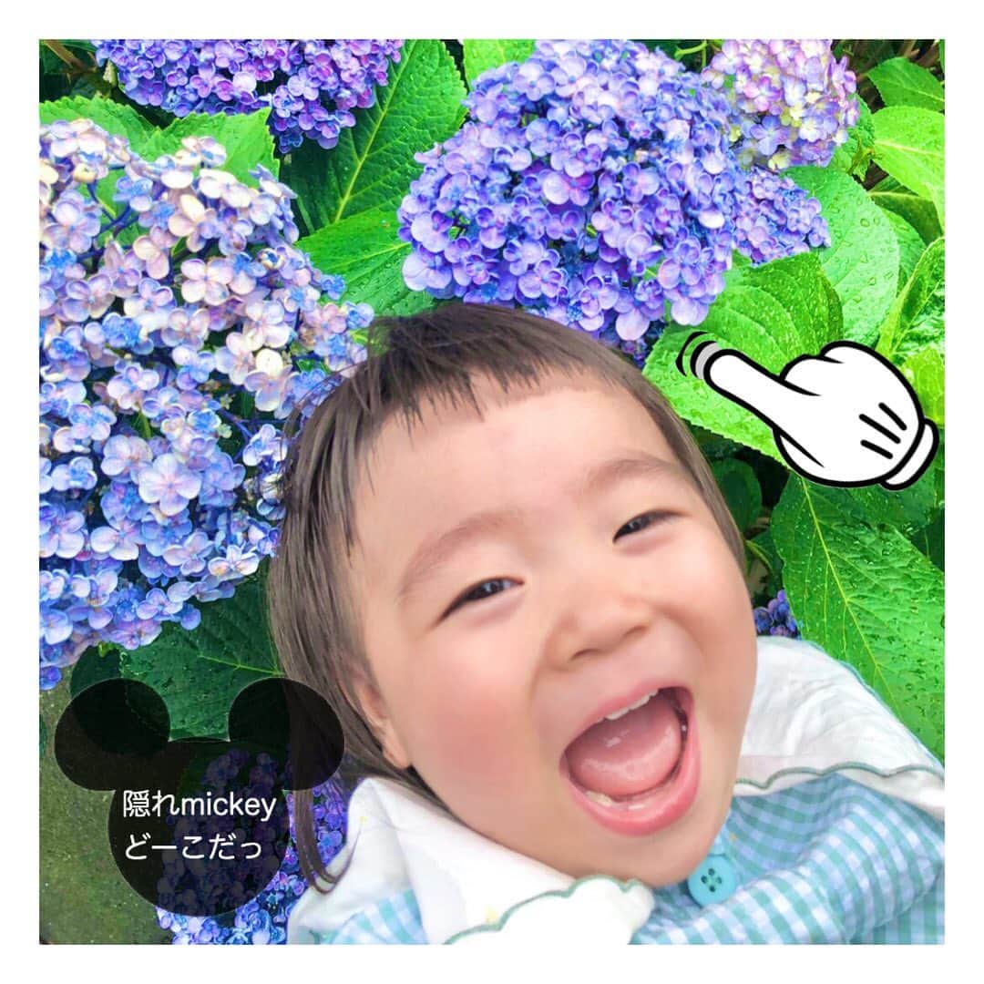 mamamizu.32のインスタグラム：「梅雨🐸☔﻿ ﻿ ﻿ ﻿ ﻿ あじさい綺麗♡﻿ ﻿ ﻿ ﻿ ゆっちゃん最近男の子みたいな顔（笑）﻿ ﻿ ﻿ ﻿ ﻿ ﻿ ﻿ ﻿ ﻿ ﻿ #sango#ベビライフ#ままべび#ベビメモリ#rainbowmamababy#スマイル育児#たまひよベストショット#親バカ部ig_baby#コノビー#ママカメラ#子育てぐらむ#ベビフル#コドモノ #fammカメラ部#ママリ#ママタス#ハピベビ#ままのて#uptoyoume#ベビーグラム#イットママ#キズナ#コズレ#fammカメラ部#赤ちゃんのいる生活#赤ちゃんのいる暮らし#赤ちゃんとの暮らし#1歳#女の子ママ#東京ママ」