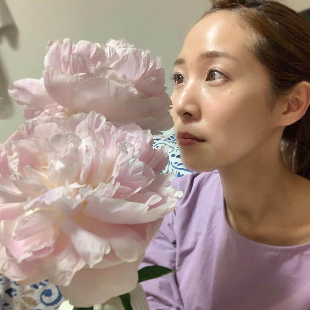 小野澤玲奈のインスタグラム：「顔より大きい〜ってやりたかったけど﻿ 顔より大きくはなかった。🙄﻿ ﻿ ﻿ 週のはじめは綺麗なんだけど﻿ だんだん紫陽花は枯れ、芍薬は色が抜けて、﻿ 部屋は散らかって、、週末。笑﻿ ﻿  この前見つけた鉢をお花屋さんに持って行こうかな🌷﻿ ﻿ #お花生活初心者 ﻿ #芍薬 #かぐや姫 #紫陽花 #花のある暮らし ﻿ #テカリ﻿」