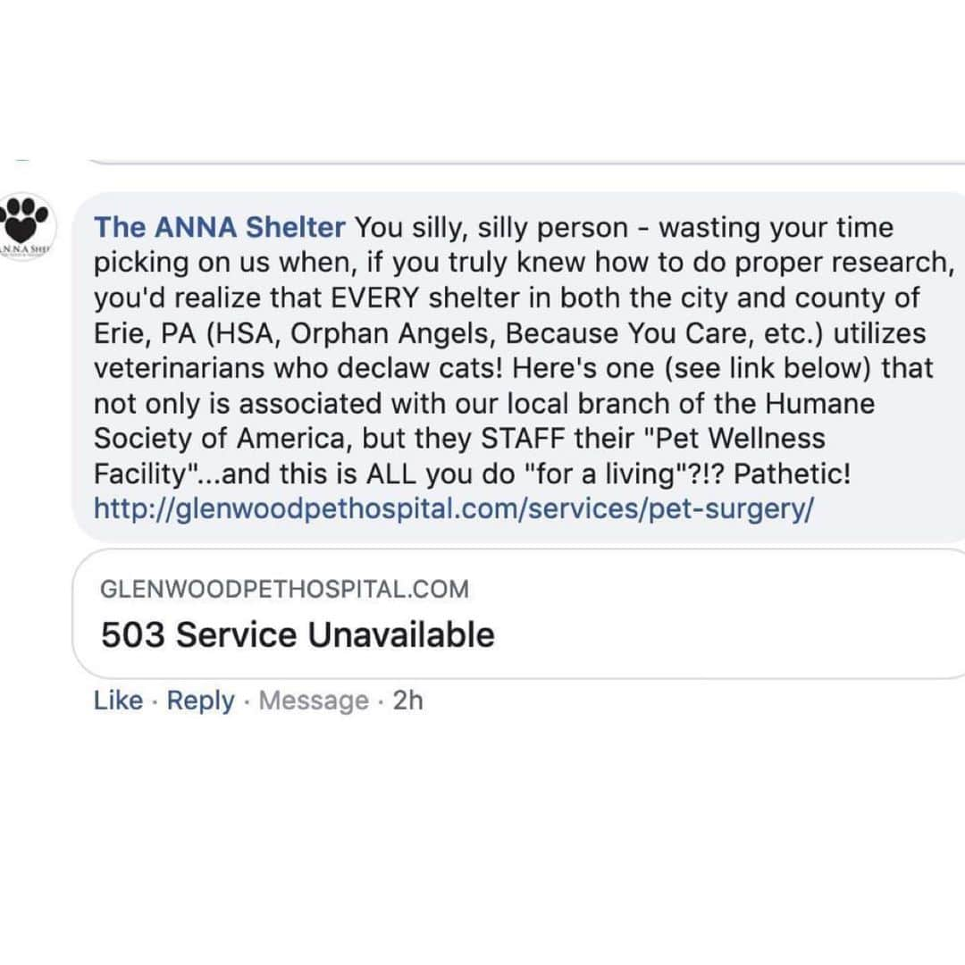 City the Kittyさんのインスタグラム写真 - (City the KittyInstagram)「It's sad that @theannashelter called us silly and pathetic for dedicating our lives to trying to save innocent cats from this inhumane and barbaric cat cruelty😿💔. (declawing) 🐾  We've sacrificed a lot to work on this important animal welfare cause for the last 6 years. We haven't taken a day off since we started this cause because we see so much pain and suffering caused in cat's lives from this brutal and unnecessary amputation procedure. 🐾 .  Here's a screenshot of The ANNA Shelter's comment that was made on our fundraiser for our campaign to try to inspire The ANNA Shelter to stop  declawing in their WELLNESS Centers. 🙀  Thank you to all the shelters/rescues in the Erie area who are taking a stand to protect innocent cats from this inhumane and unnecessary amputation procedure.  They are telling us that they see lots of declawed cats who are surrendered because of behavioral issues from their toe amputations. Declawing does NOT guarantee a cat will stay in a home, in fact the opposite often happens. 😿💔 . A shelter/rescue should be an organization that takes a stand to protect innocent and vulnerable cats from this harmful, mutilating, and unnecessary amputation procedure and not one that condones and performs this barbaric cat cruelty in their WELLNESS Centers.  Please sign our petition to The ANNA Shelter that’s on our Instagram bio link. Let's get to 5000 signatures by next week!  Always take the high road, be polite, and educate.  #Erie #PA #TheANNAShelter #Annashelter #teamanna」6月13日 2時58分 - citythekitty