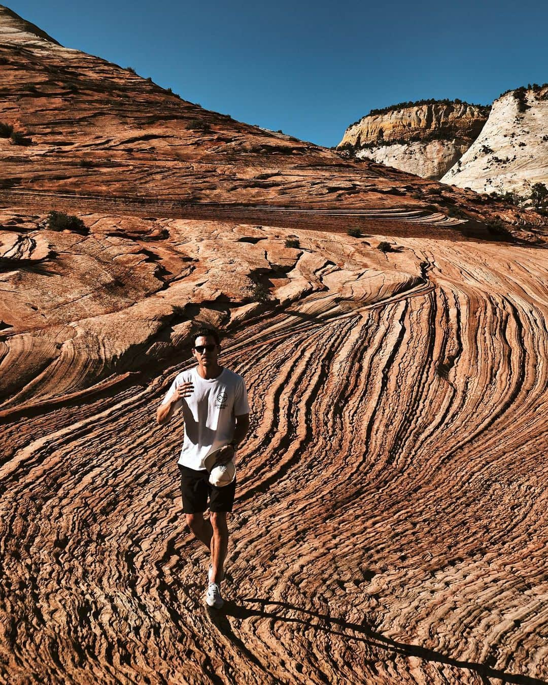 アダム・センさんのインスタグラム写真 - (アダム・センInstagram)「Elon you slow poke, made it to Mars. Chalk one up for me. ☑️」6月13日 3時16分 - adamsenn