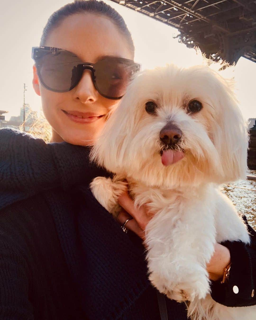 オリヴィア・パレルモのインスタグラム：「Wishing Mr. B the happiest of birthdays today 🎉🎂🎁 I cannot believe it has been 15 years 😱 since you entered my life!!! And you still act like a puppy! 😘💕」