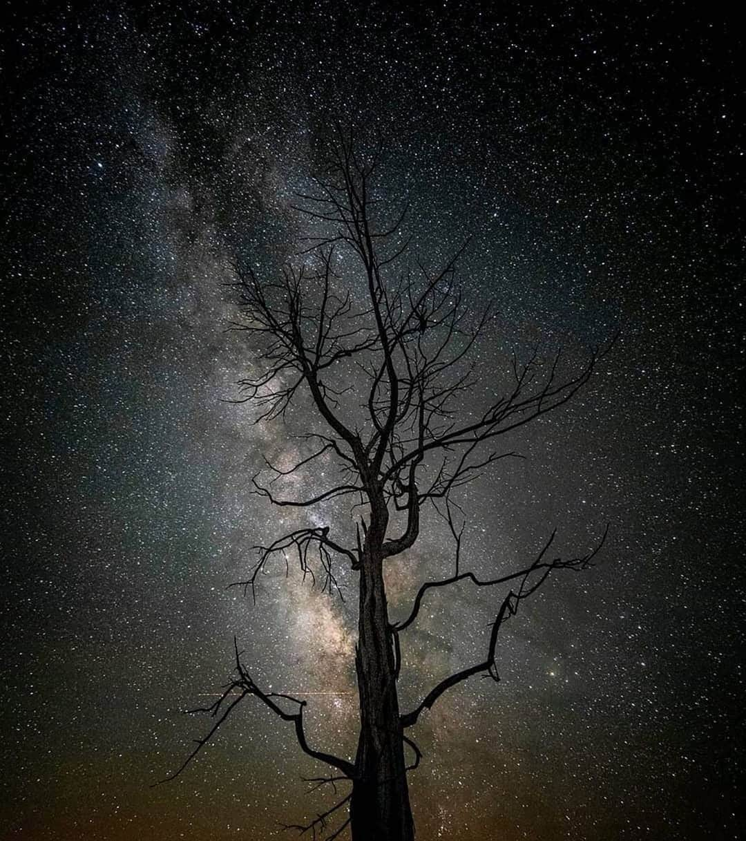 Ricoh Imagingさんのインスタグラム写真 - (Ricoh ImagingInstagram)「Posted @withregram • @frankleeruggles Though this is a research trip to the Western States for the 79 Years Project, I'm looking forward to making the most of my down-time by pointing my camera skyward at night to see and photograph the Milky Way. It's amazing how much more visible it is out here than on the East Coast.  BIG BONUS- There are many fewer planes in the sky right now.  Here's a shot from 2 years ago at Mesa Verde National Park.  @mesaverdenps  @visitmesaverde  #mesaverdenationalpark  #colorado @ricohusa @Ricoh @ricohpentax  #milkyway #fstoppers #pentax645z  #mediumformatdigital #mediumformat #nightsky #astrophotography #stars  #astronomy #nightscape #astrophoto  #starrynight  #nightscaper  #ig_astrophotography  #universetoday  #stargazing  #nightphotography #longexposure  #galaxy #natgeospace #space #milkywaygalaxy #longexpo @milkywaychasers  #nightscapes #starrysky @thegreatmilkywaychase @milkywayshooters @milkyway.cc @igworldmilkyway」6月13日 3時42分 - ricohpentax