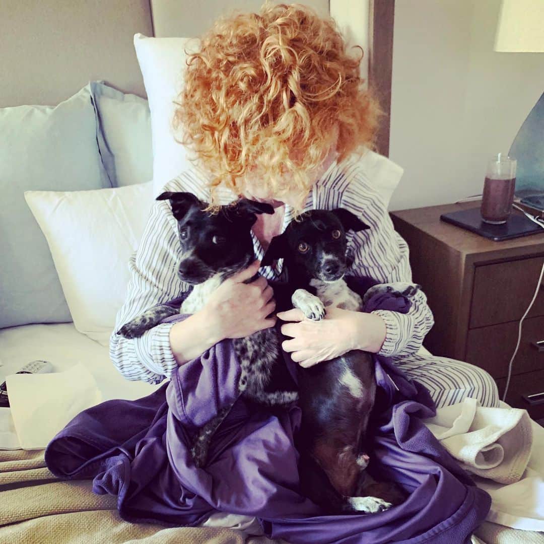 キャシー・グリフィンのインスタグラム：「Trying out some new material and I got a cuddling ovation.  #puppiesofinstagram #dog」