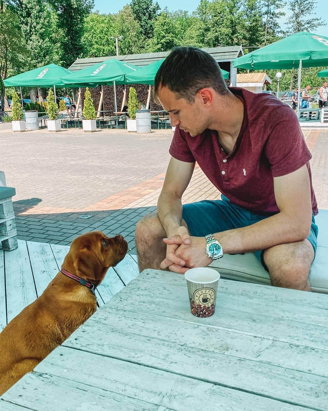 クシシュトフ・カミンスキーのインスタグラム：「🐕🐾☀️」