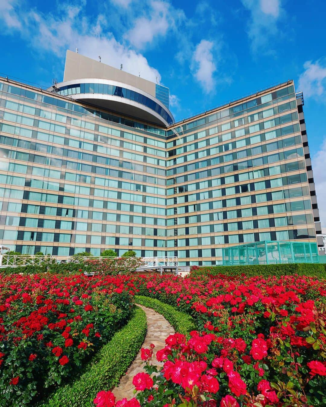 ホテル ニューオータニさんのインスタグラム写真 - (ホテル ニューオータニInstagram)「The 30,000 roses of 32 breeds in the magnificent Red Rose Garden, located on the third floor of Hotel New Otani Tokyo THE MAIN are in full bloom now! #FutureTravelGuide #ForbesTravelGuide @forbestravelguide﻿ #thepreferredlife ﻿ 32種3万輪の真紅の薔薇が咲き誇る、ホテルニューオータニの「レッドローズガーデン」（現在イベントご予約のお客さまのみご案内しております）🌹#オータニローズガーデン ﻿」6月13日 11時53分 - hotelnewotanitokyo