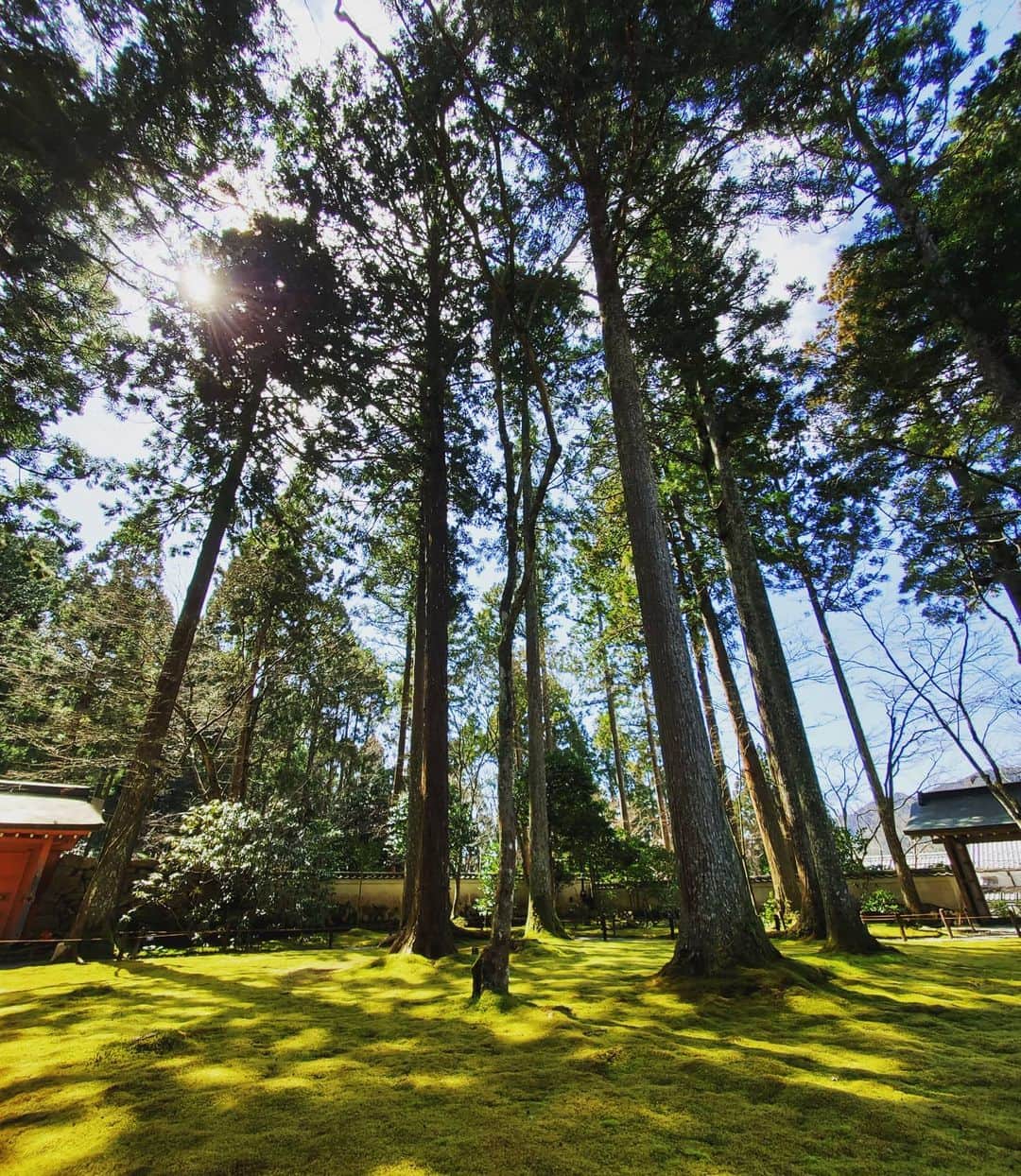 市川笑野のグルメインスタ