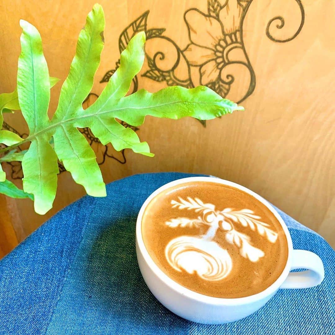AMAZING COFFEEさんのインスタグラム写真 - (AMAZING COFFEEInstagram)「. 🌴AMAZING COFFEE OSAKA SOUTH SIDE☀️ . 夏が近づいてきていますね🌈 本日も美味しいCoffeeを用意してお待ちしております💁🏻‍♀️ . #AMAZINGCOFFEE #AMeCO #アメコ #coffee」6月13日 8時01分 - amazing_coffee_official