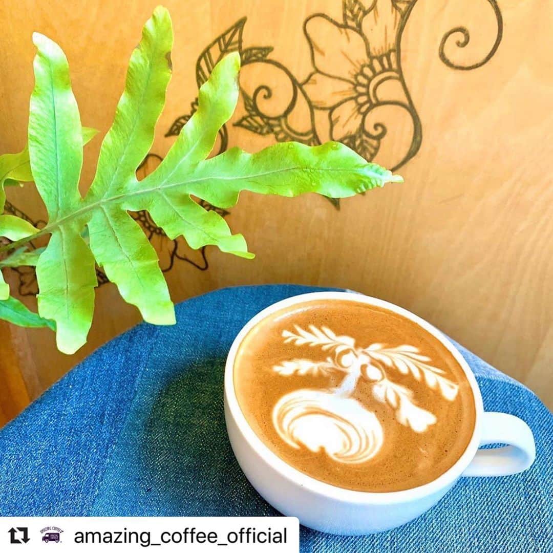 のインスタグラム：「. @amazing_coffee_official ・・・ 🌴AMAZING COFFEE OSAKA SOUTH SIDE☀️ . 夏が近づいてきていますね🌈 本日も美味しいCoffeeを用意してお待ちしております💁🏻‍♀️ . #AMAZINGCOFFEE #AMeCO #アメコ #coffee #LDHkitchen」