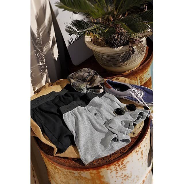 のインスタグラム：「【MENS COLLECTION】﻿ ﻿ シンプルでベーシックなデザインのトランクスを上質な生地と気持ちの良いゴムの素材感、ちょっとおしゃれなシルエットにこだわって作りました。内側には立体的なインナーポケット付き。履いたときにほのかにセクシーさを感じさせるシルエットです。﻿ ﻿ ﻿ [M003series]﻿ MENS KNIT TRUNKS ¥2,900+tax﻿ ﻿ ﻿ #chutintimates #mens #new #collection #summer #2020 #trunks #lingerie #シュット #夏 #新作 #メンズ #トランクス #パンツ #リブ #シンプル #ベーシック #グレー #ブラック #コーデ #ファッション #simple #basic #gray #black #color #fashion #instalike #instagood #intothewild」