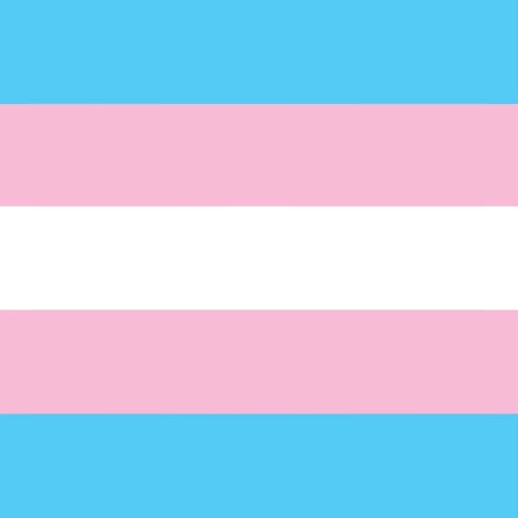 クリスティン・チェノウェスさんのインスタグラム写真 - (クリスティン・チェノウェスInstagram)「Trans women are women.  Trans men are men. Non binary people are non binary.  Period. 💙💗🤍」6月13日 8時33分 - kchenoweth
