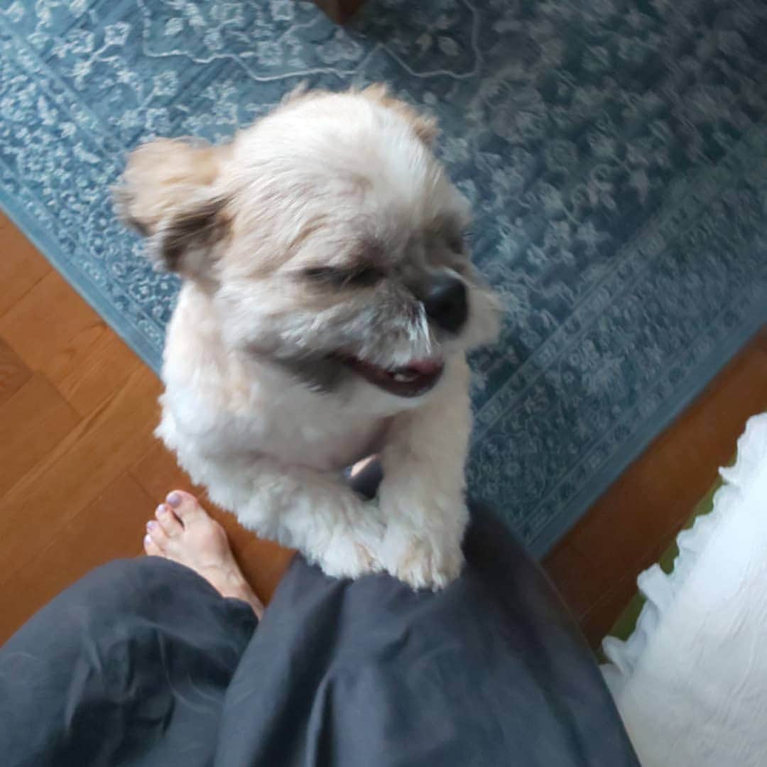 タンゲクンのインスタグラム：「朝ごはん 遅くないですか 今日  おねげぇしますよ～ からの はよせいや😤 #旬太郎くん  #shtzulove」