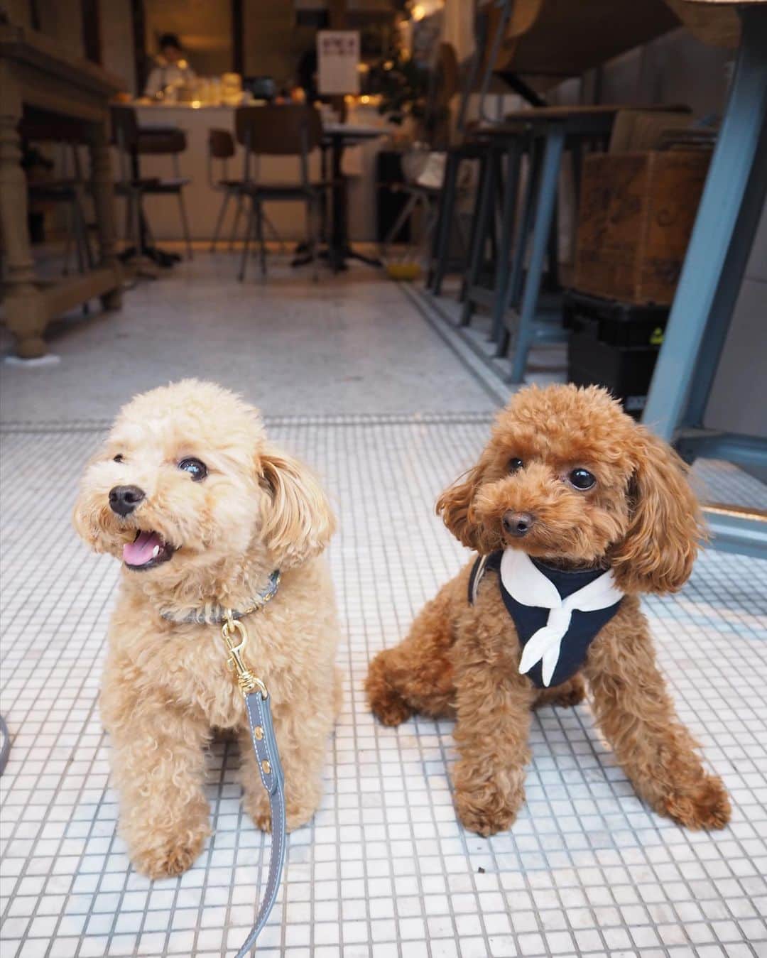 くるみたんのグルメインスタ